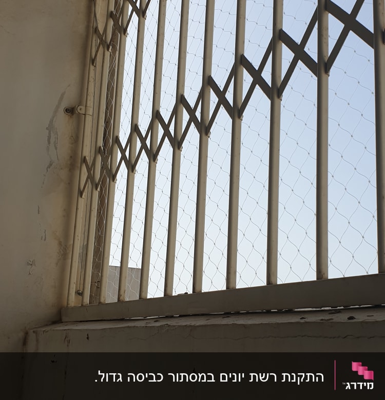 רשת מתכת על חלון למניעת כניסת יונים